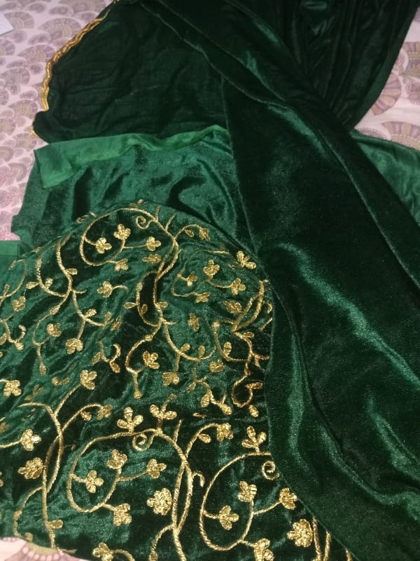 Velvet Green Cutwork Saree With Blouse - OrderMeFirst